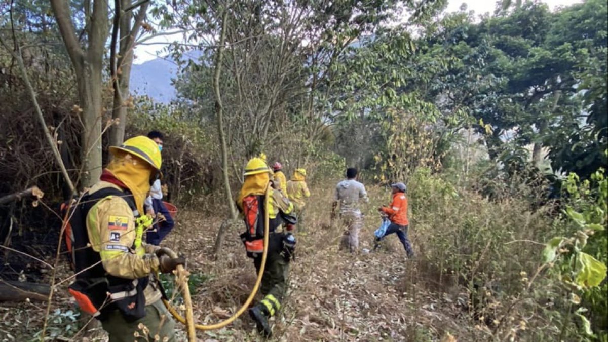 El incendio está activo en el cerro Ilaló, en el sector de Toglla, en Tumbaco.