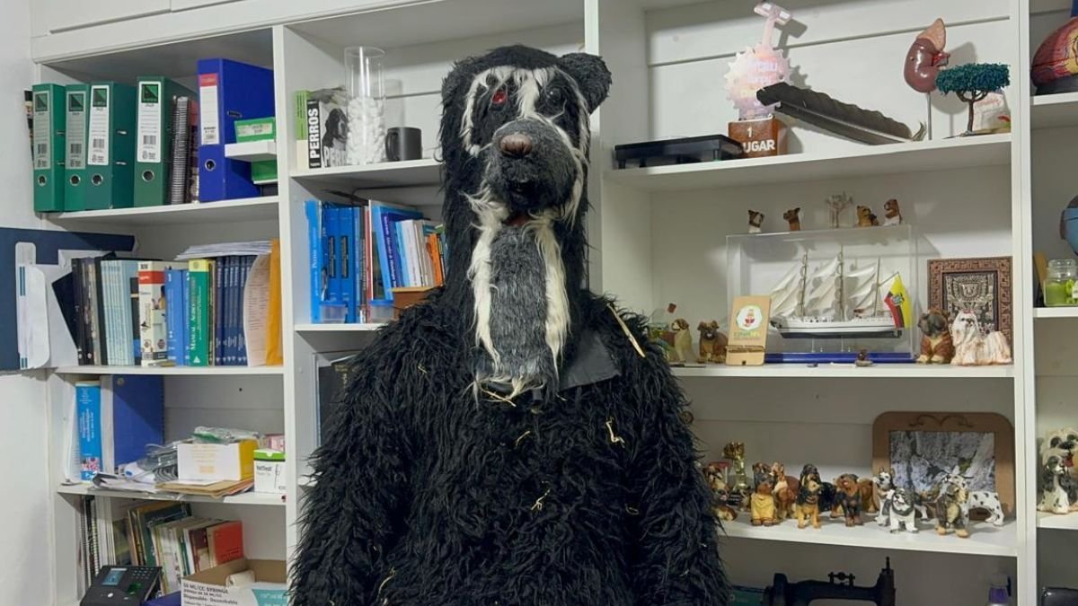 Veterinario se disfraza de un oso para ayudar al osezno a desarrollar habilidades que le permitan sobrevivir en libertad.