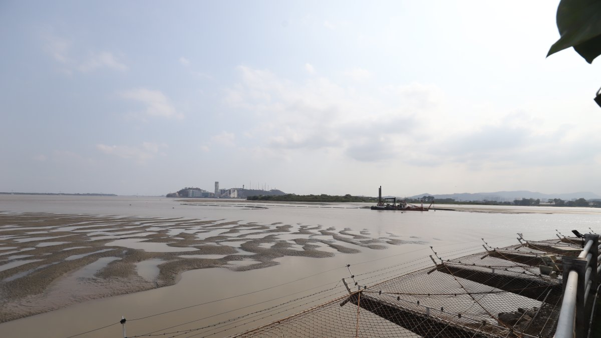 Escena. Desde las residencias de La Puntilla esto es lo que se ve: un nuevo banco de arena que se expande.