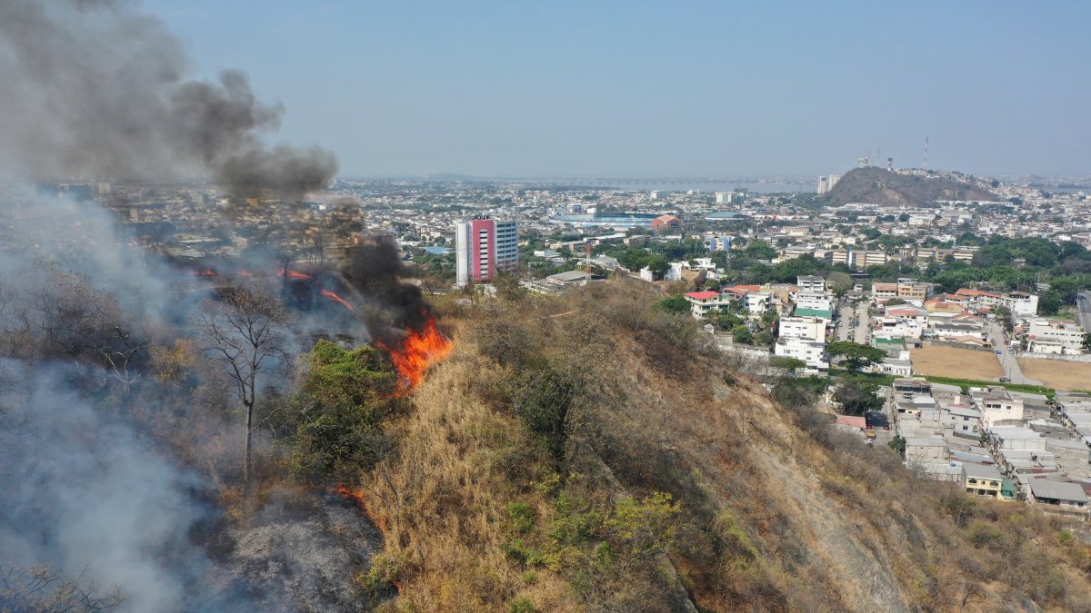 Un incendio se registró en el cerro San Eduardo, en el oeste de Guayaquil, la tarde de este martes 17 de septiembre.