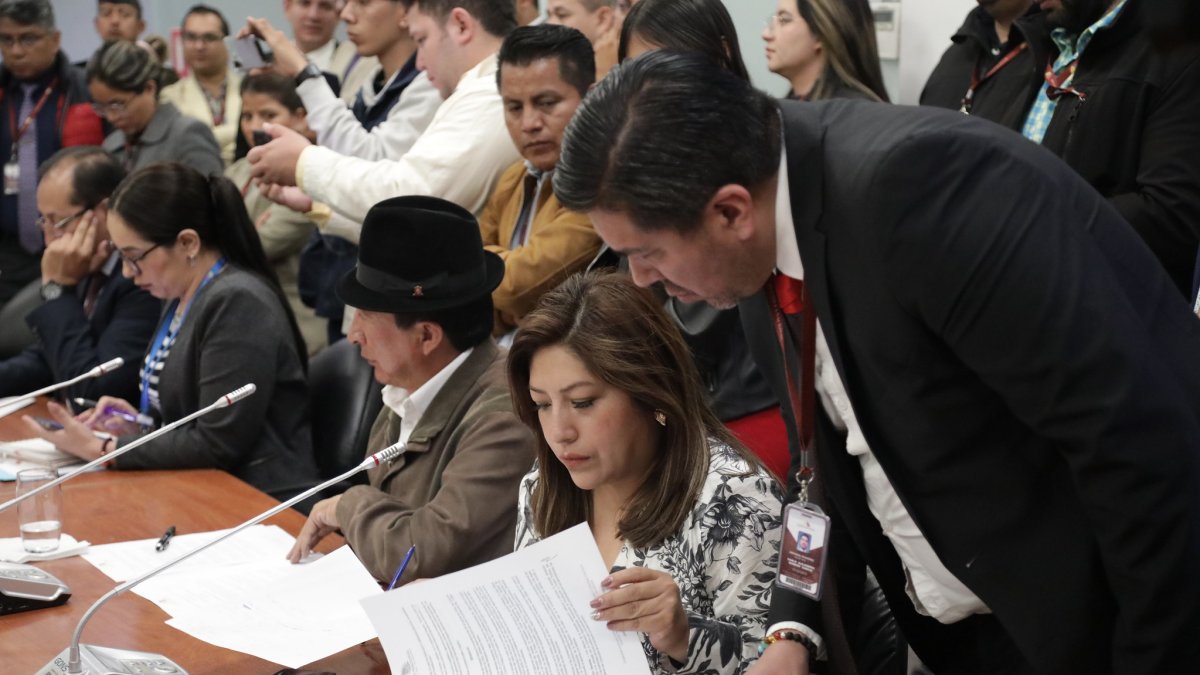La asambleísta oficialista Inés Alarcón acudió a la mesa de Fiscalización para presentar las nuevas firmas de respaldo, que fueron rechazadas.