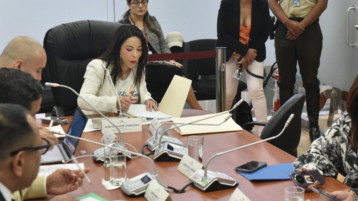 La Comisión de Fiscalización sesionará de forma virtual este 19 de septiembre, para tratar el juicio político de Andrea Montalvo.