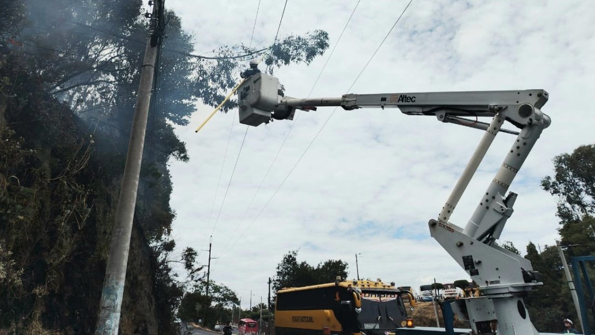 Un incidente con un árbol causó un corte de luz en seis barrios del norte de Quito.