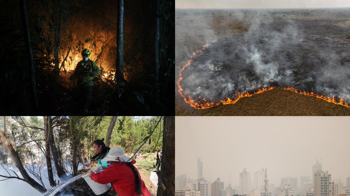 Situación. Así se suscitan las incidencias del fuego en zonas forestales en cuatro países de la región.
