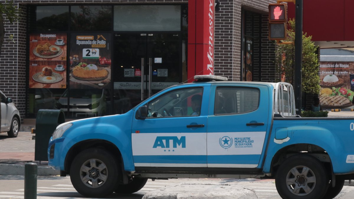 Referencial. Para su funcionamiento, cuenta con 342 vehículos, de los cuales 327 son del servicio operativo, que es el 96% del parque automotor.