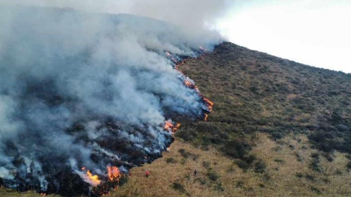 Foto referencial. La medida fue tomada durante la sesión del Comité de Operaciones y Emergencia (COE) Nacional.