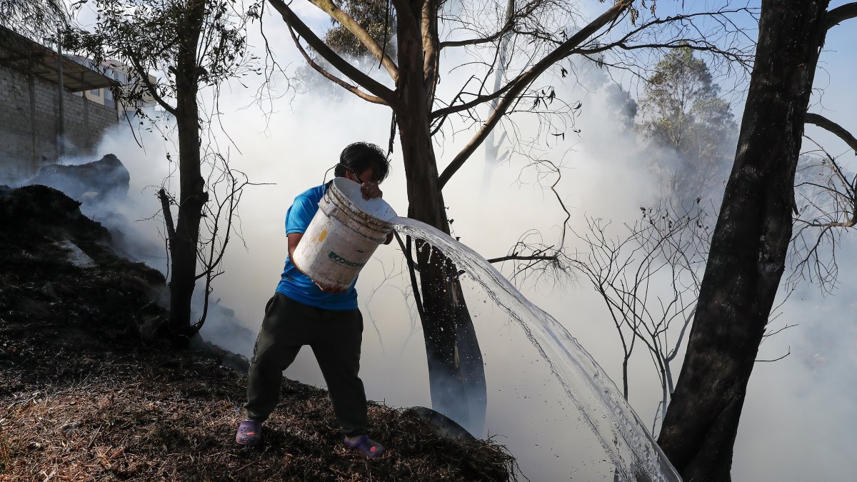 Quito. Una persona trata de apagar el fuego en un bosque.