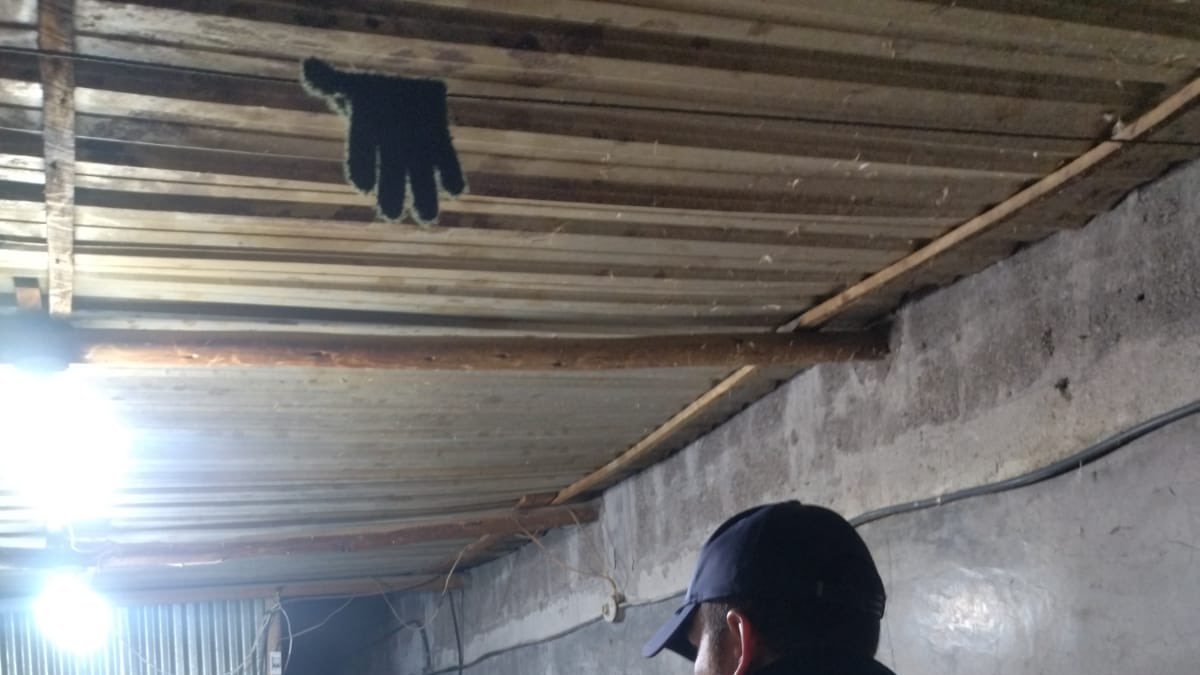 El indebido tratamiento de los desechos causaba la presencia de perros y de fuertes olores.