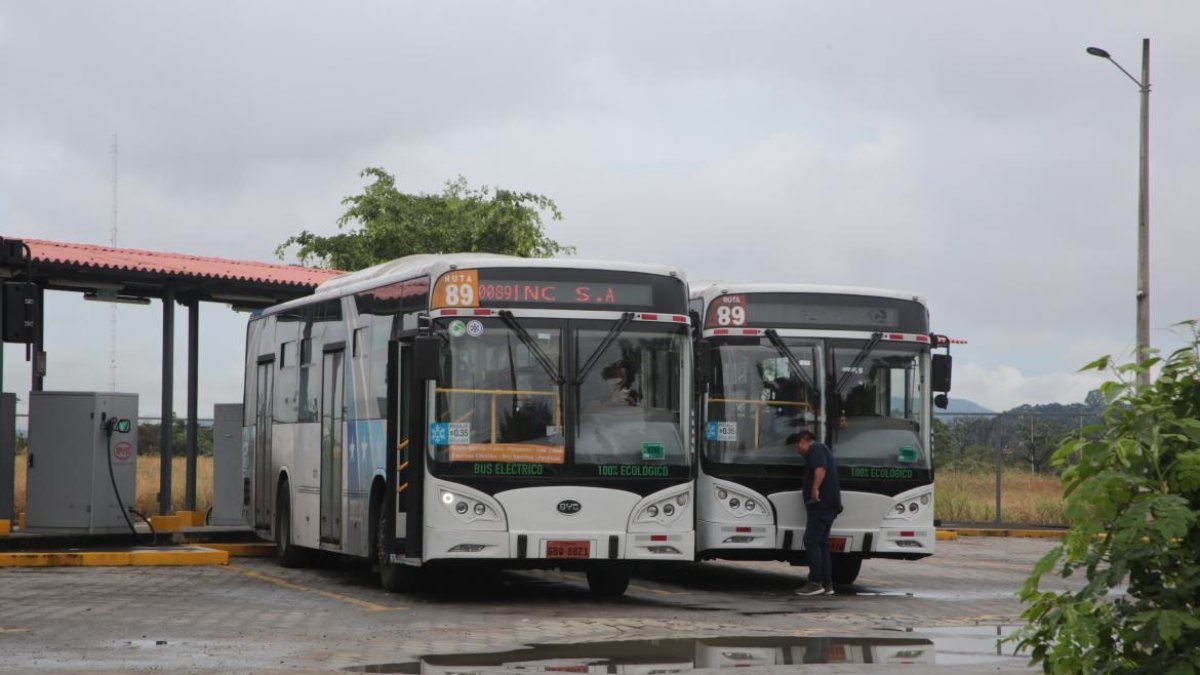 La mayoría de la flota de buses de SAUCINC son vehículos eléctricos.