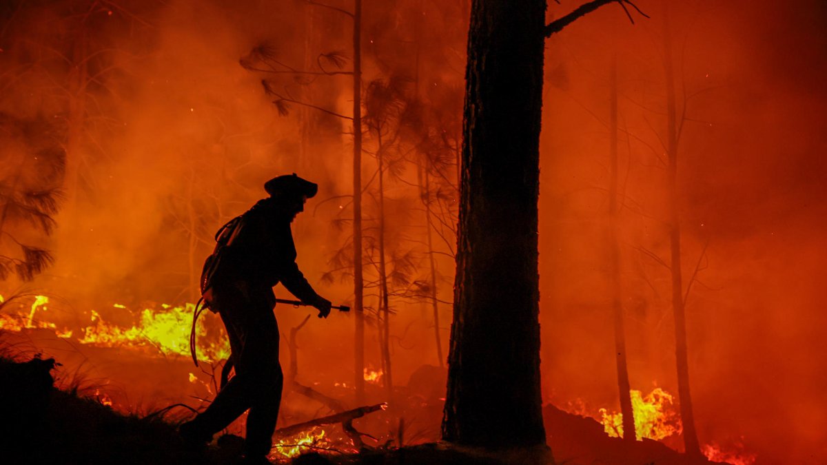 Un hombre parte de un grupo de bomberos y vecinos autogestionados combate un incendio forestal este lunes, en Intiyaco en las cercanías de Villa Berna, provincia de Córdoba (Argentina).