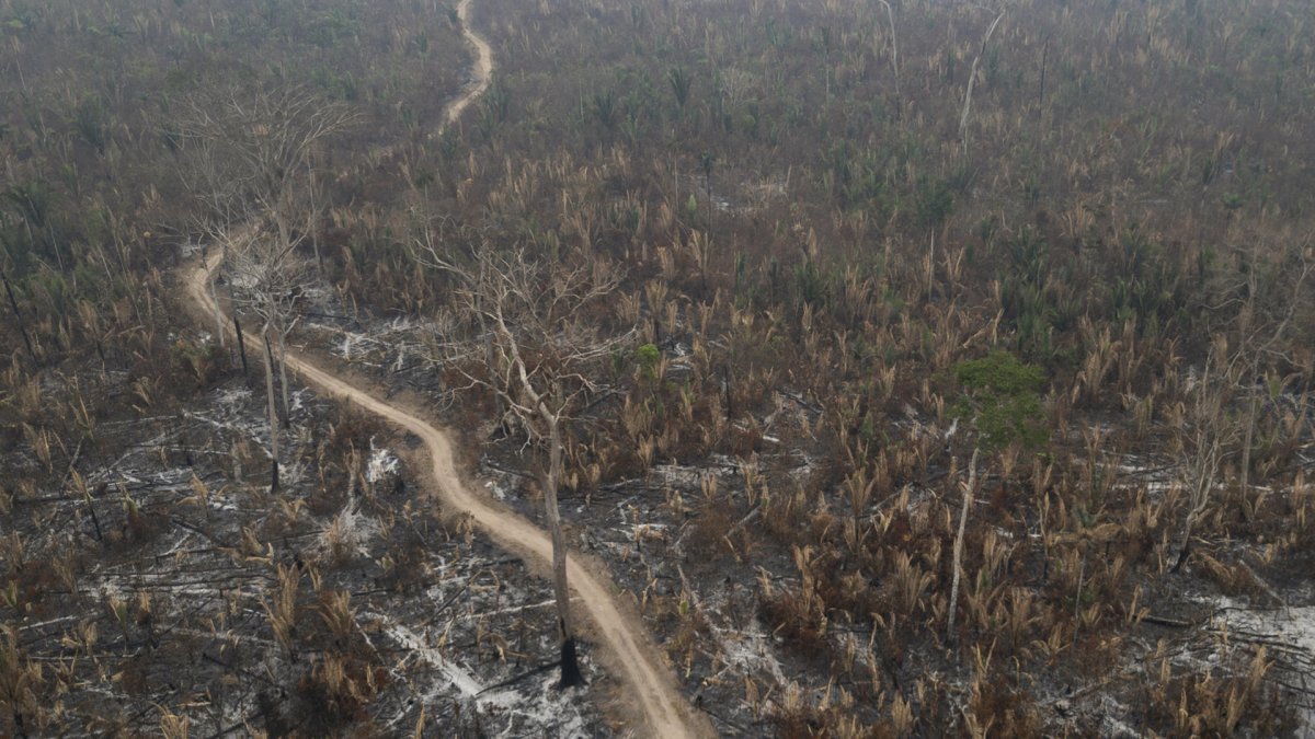 Fotografía aérea de archivo que muestra la afectación por incendios de una zona del Parque Estatal Guajará Mirim, en Nova Mamoré (Brasil)