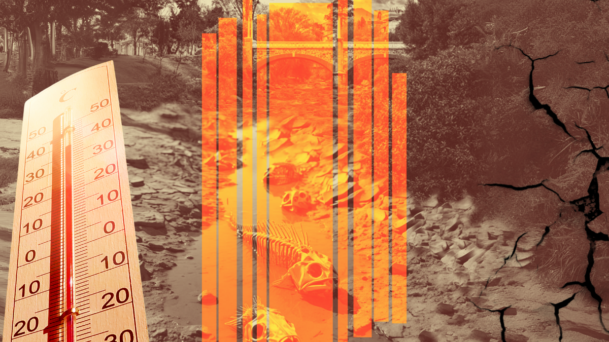 Ilustración para graficar este artículo relacionado con sequía.