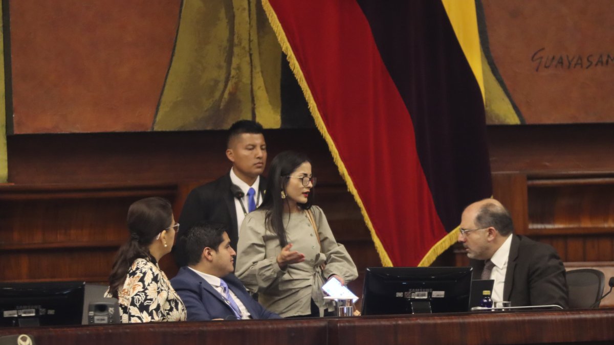 La sesión 963 de la Asamblea fue suspendida por Henry Kronfle.