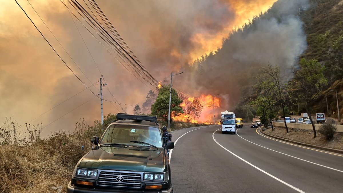 El incendio forestal se propagó hasta la avenida Simón Bolívar.