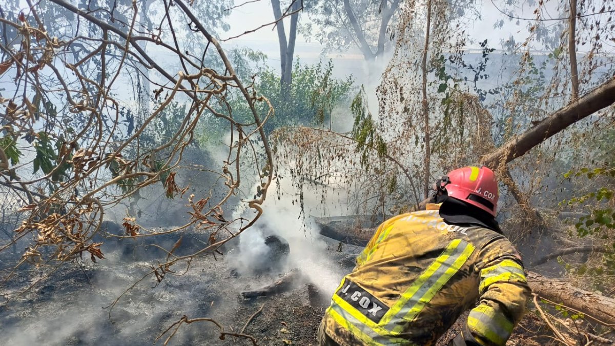 El incendio se registró en el sur de la ciudad.