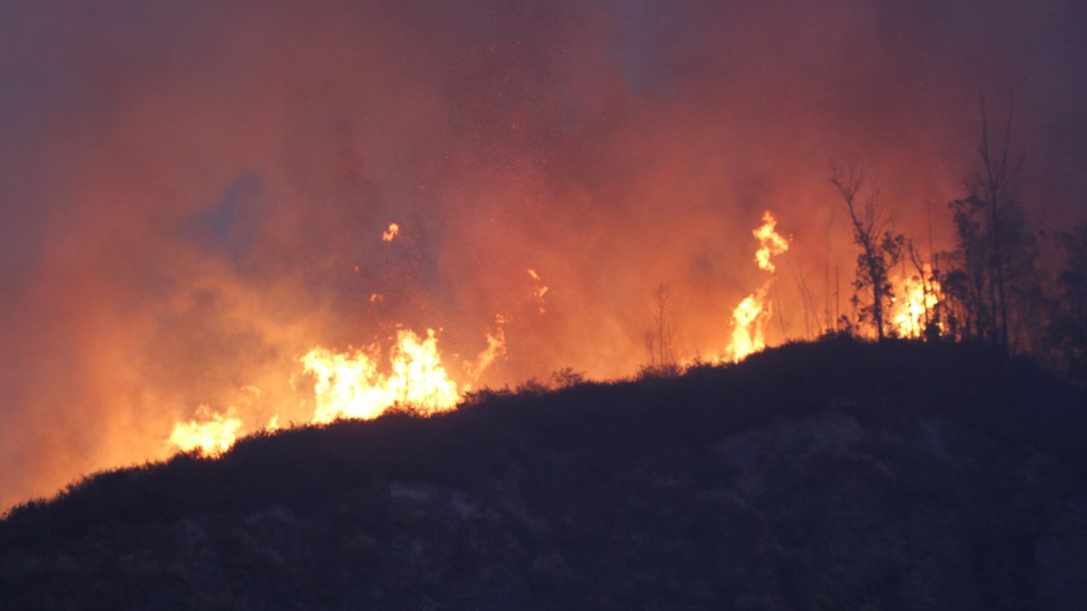 El incendio en Guápulo avanzó hacia la avenida Simón Bolívar y se propagó hasta el parque Metropolitano.