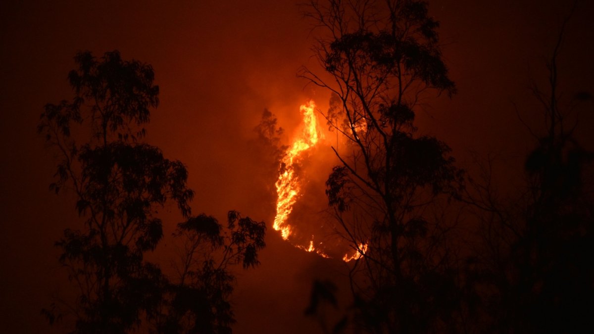 El Gobierno Nacional detalló que la información será recibida a través de la línea 131.
