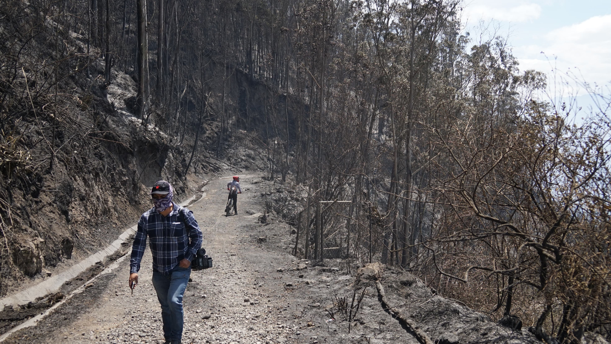 Zonas afectadas por los incendios en el sector de Bellavista, en Quito.
