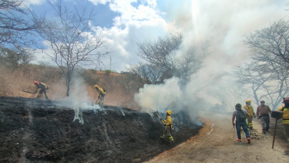 Bomberos combaten un incendio forestal en Vilcabamba.