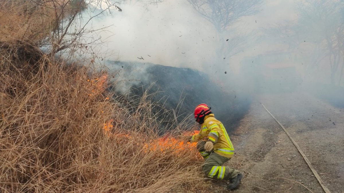 Personal del Cuerpo de Bomberos de Loja trabajan para controlar el incendio forestal en Vilcabamba.