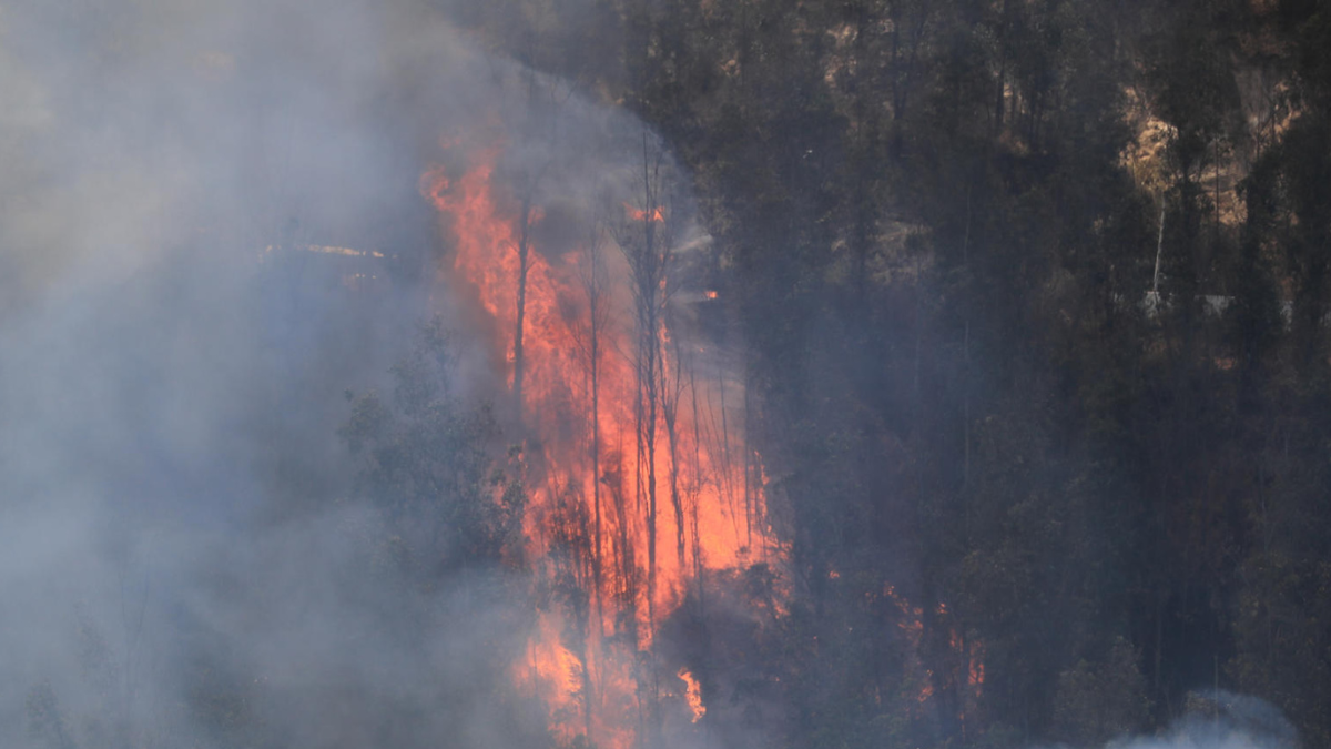 Incendio forestal en Quito.