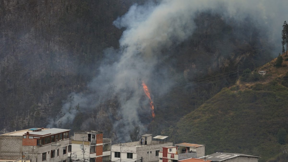 Varios incendios forestales azotan a la capital de los ecuatorianos, Quito, desde el martes 24 de septiembre.