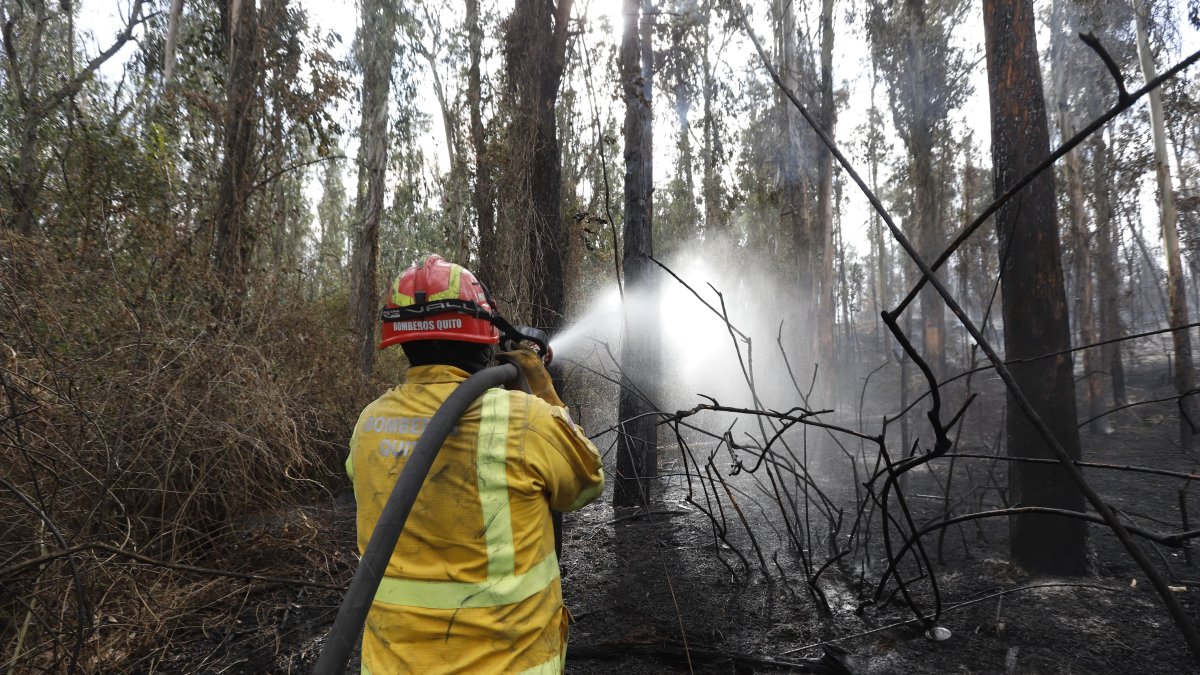 El 24 de septiembre se reportaron al menos focos de incendios forestales en Quito.