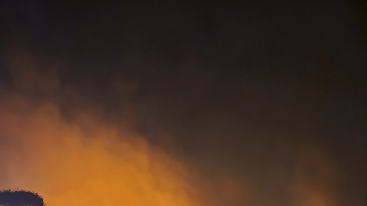 Daño. Se investiga el origen del incendio que causó daños en vegetación.