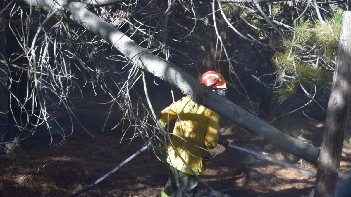 La ministra Inés Manzano indicó que en Cotopaxi hay una zona que lleva 27 días consecutivos de incendios.