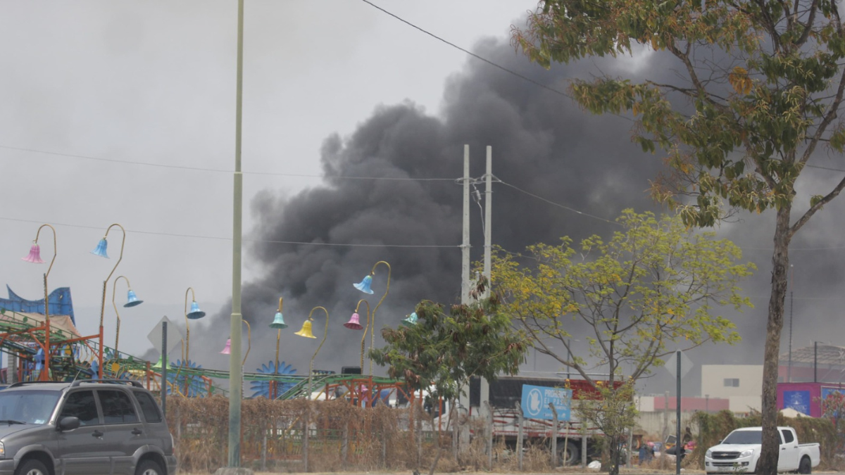 Incendio forestal en las inmediaciones del Parque Samanes.