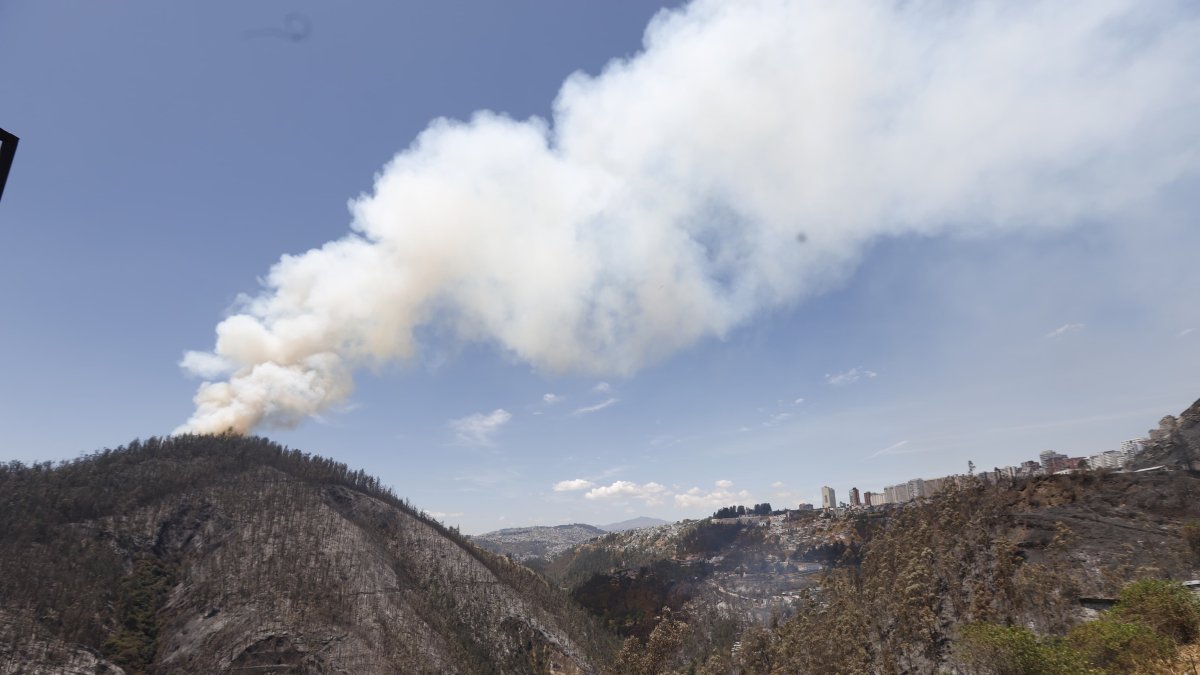 Cuatro personas han sido detenidas por los incendios en Quito. La Policía busca a dos sospechosos por el fuego en Guápulo.