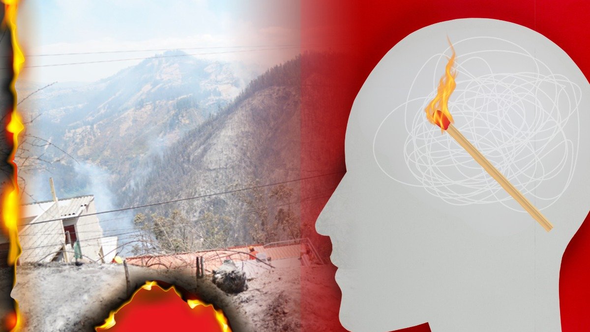 Múltiples incendios forestales han sido ocasionados por seres humanos.