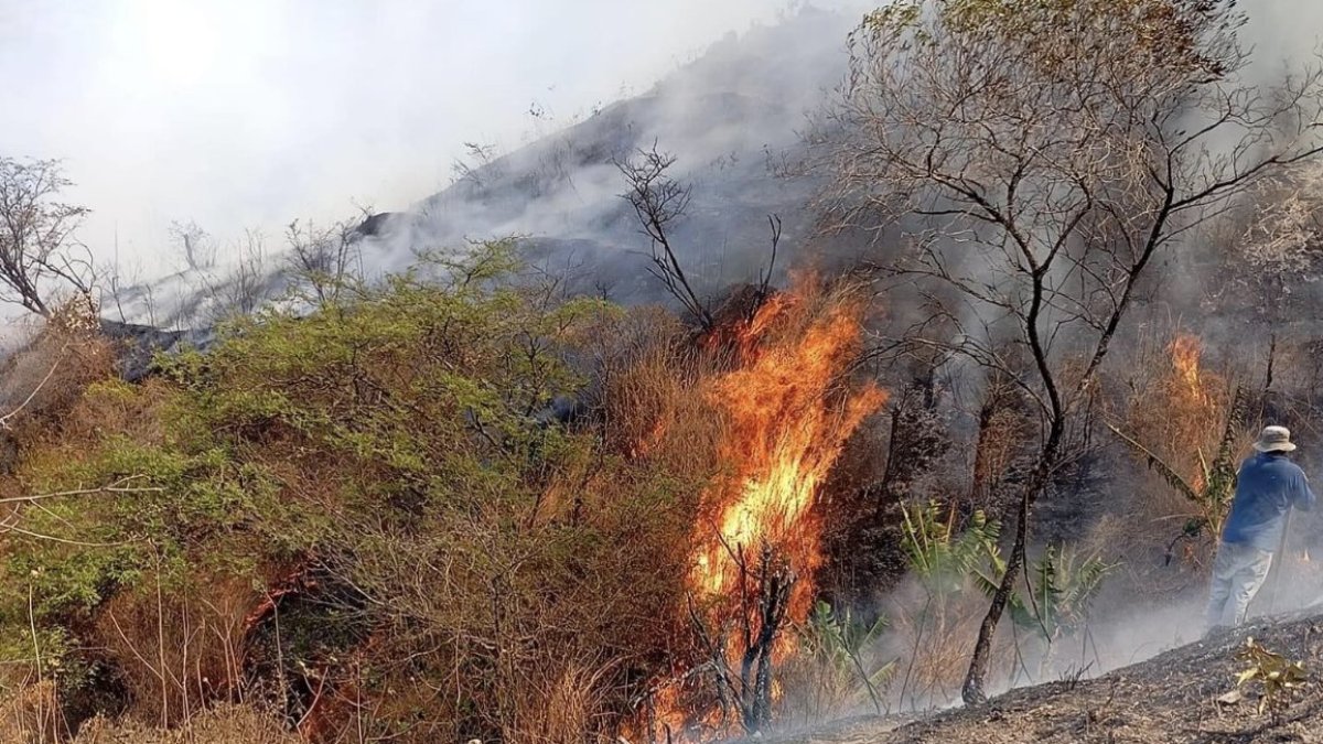 Incendio en zona natural de Vilcabamba.