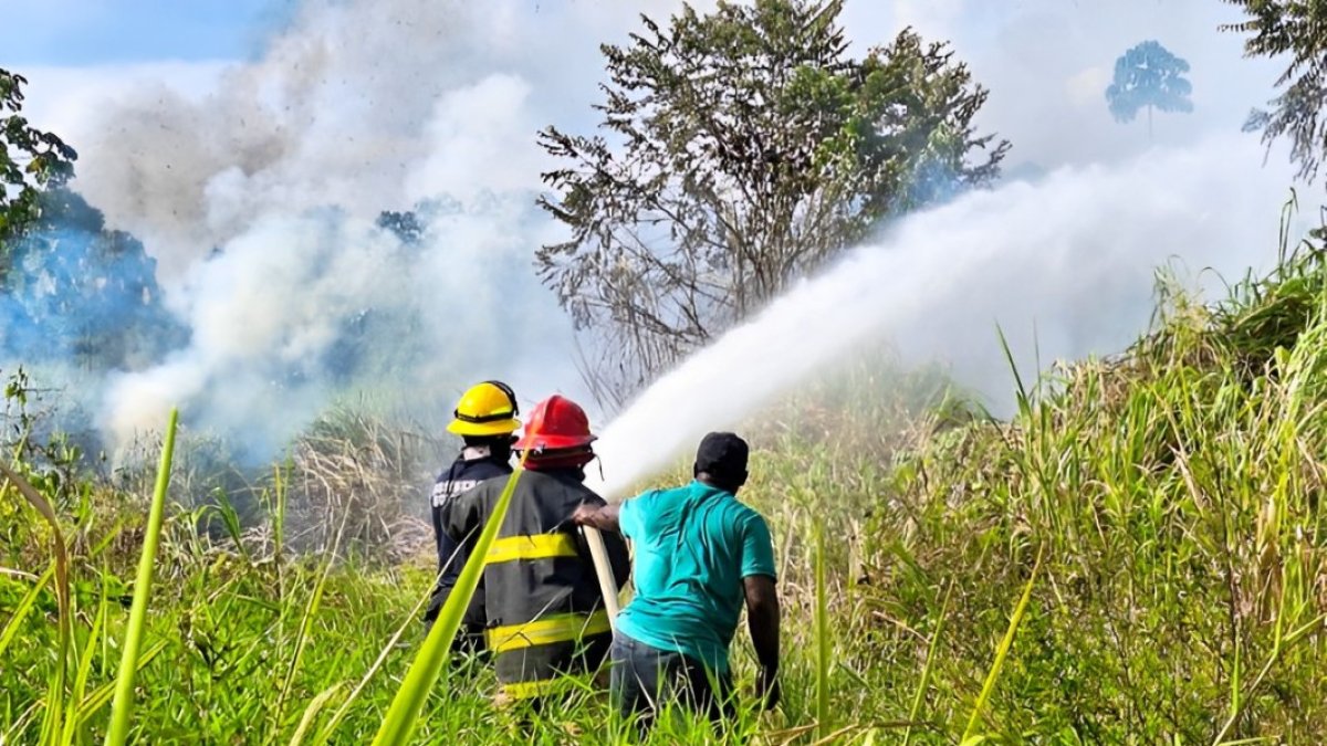 Incendios forestales en Esmeraldas.