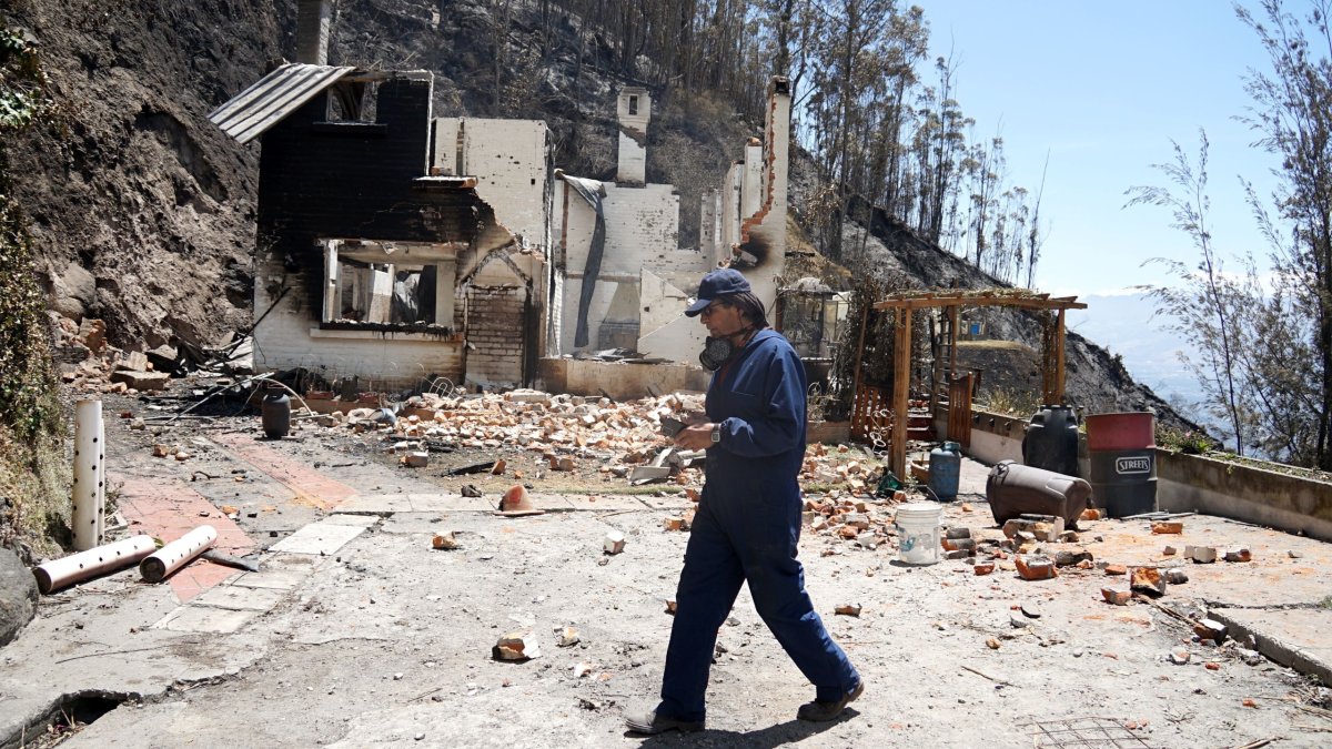 Viviendas ubicadas entre la zona boscosa de Bellavista resultaron afectadas .