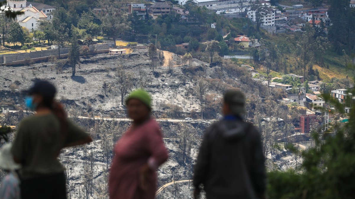 Afectación de un incendio forestal en Quito.