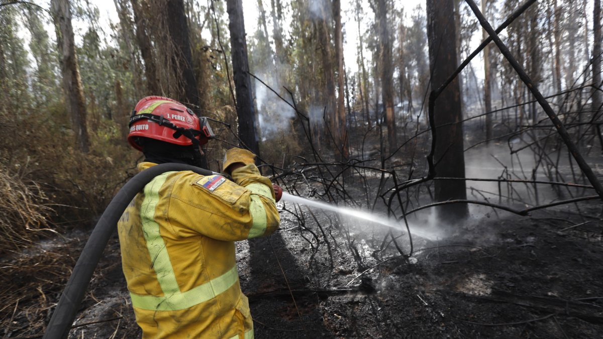 El Cuerpo de Bomberos realiza labores de enfriamiento en Guápulo y el cerro Auqui, para apagar totalmente el incendio que se inició el martes.