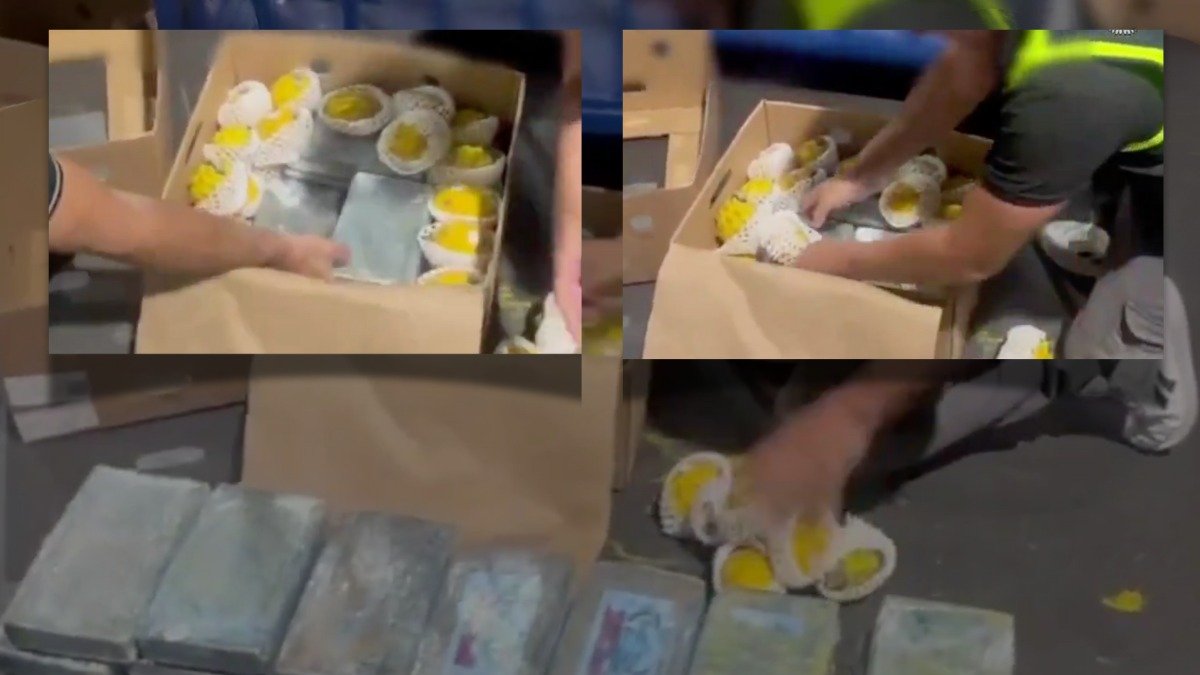 La Policía de España detalló que desarticuló la banda narcocriminal que estaba detrás de los envíos.