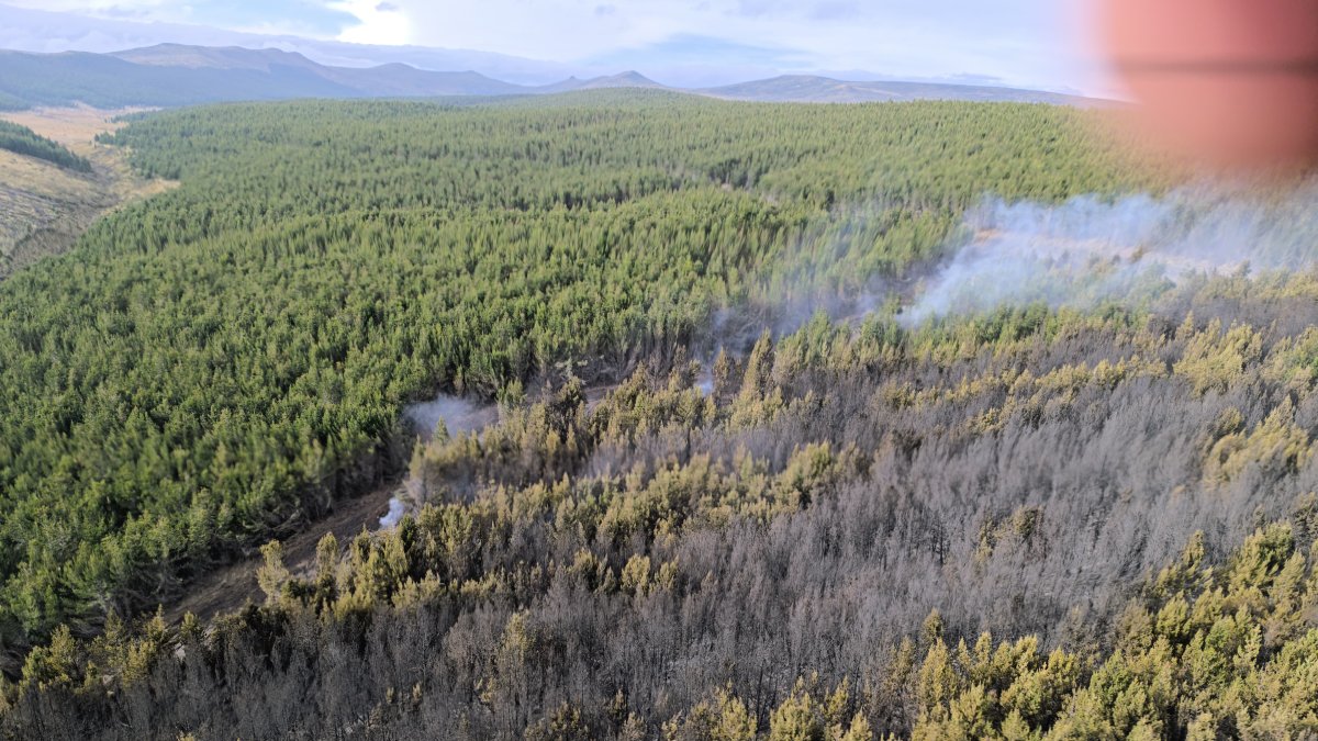 Más de 300 hectáreas se vieron afectadas en el incendio forestal de Pansache.