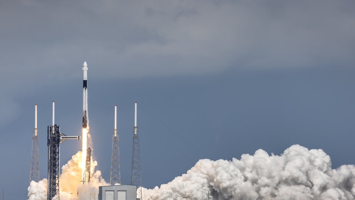 La misión SpaceX Crew-9 de la NASA despega en una nave espacial Dragon, en un cohete SpaceX Falcon 9.