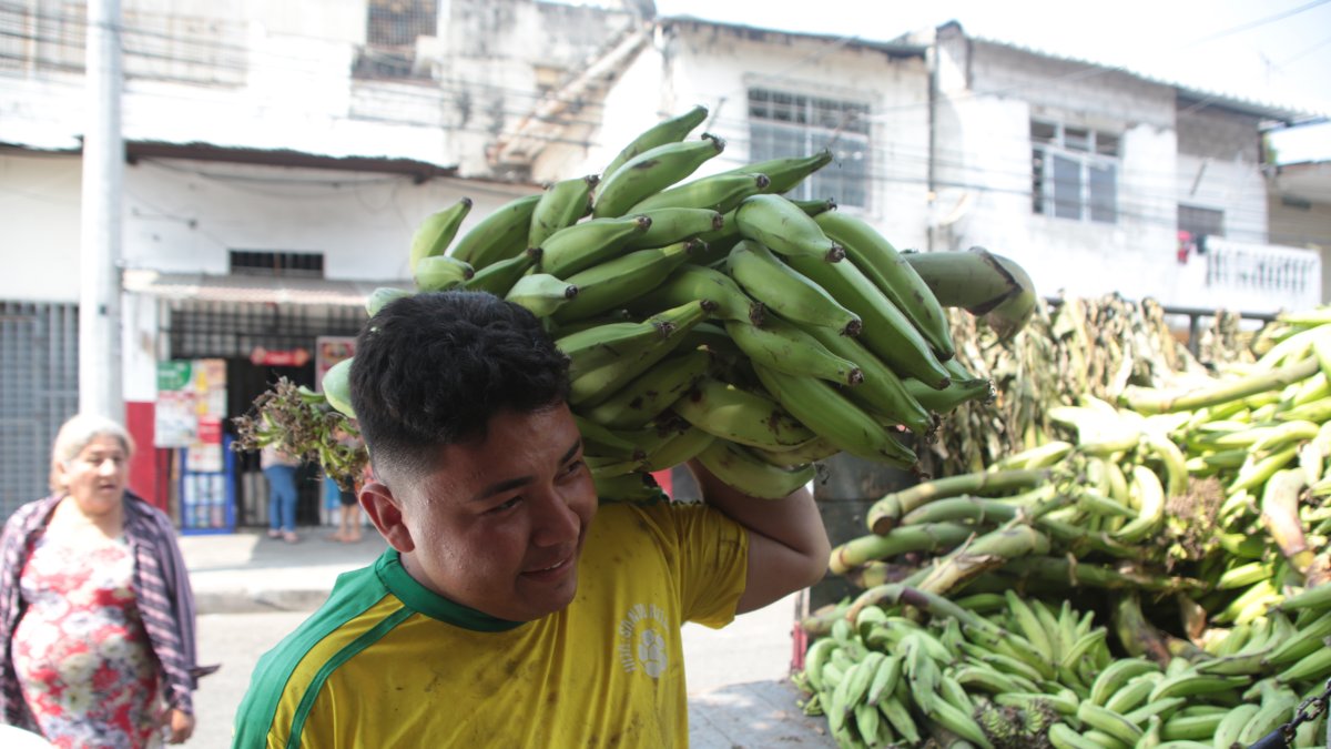 Mercado. Un trabajador lleva un racimo de barraganete para un depósito ubicado en el suroeste de Guayaquil.