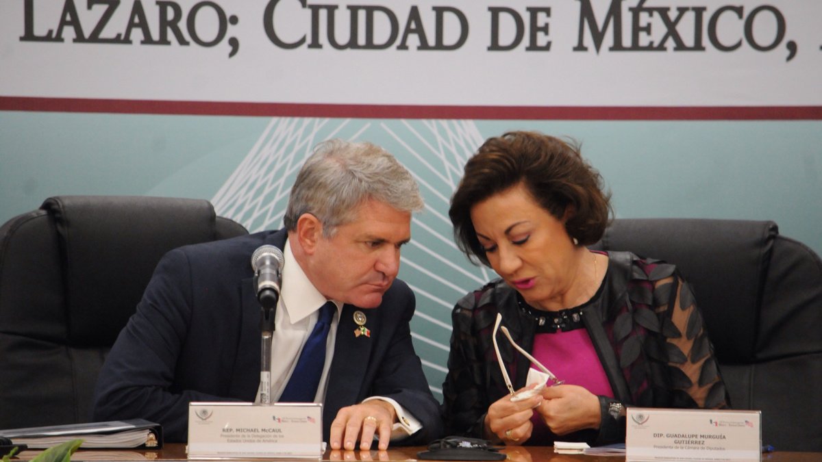 La diputada por el Partido Acción Nacional, María Guadalupe Murguía Gutiérrez