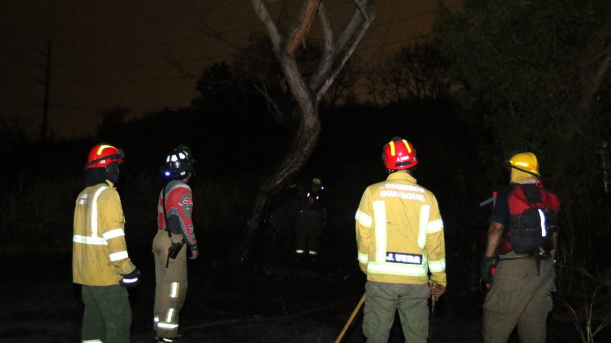 Incendio forestal en la avenida del Bombero con sentido hacia Vía a la Costa.