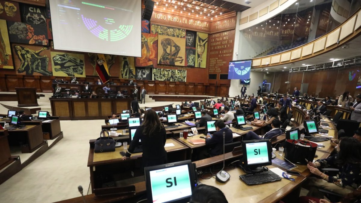 La Asamblea Nacional tramitó las objeciones del Ejecutivo a la Ley de Armas.