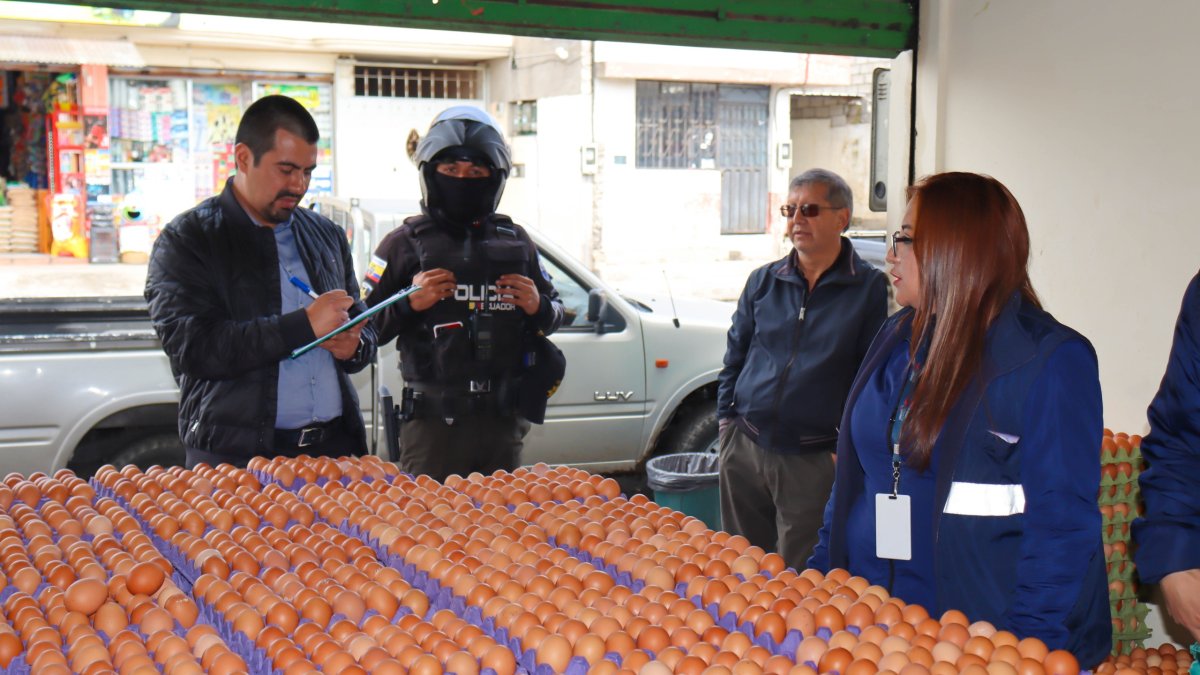 Autoridades de control verificaron el precio de la cubeta de huevo en las distribuidoras.