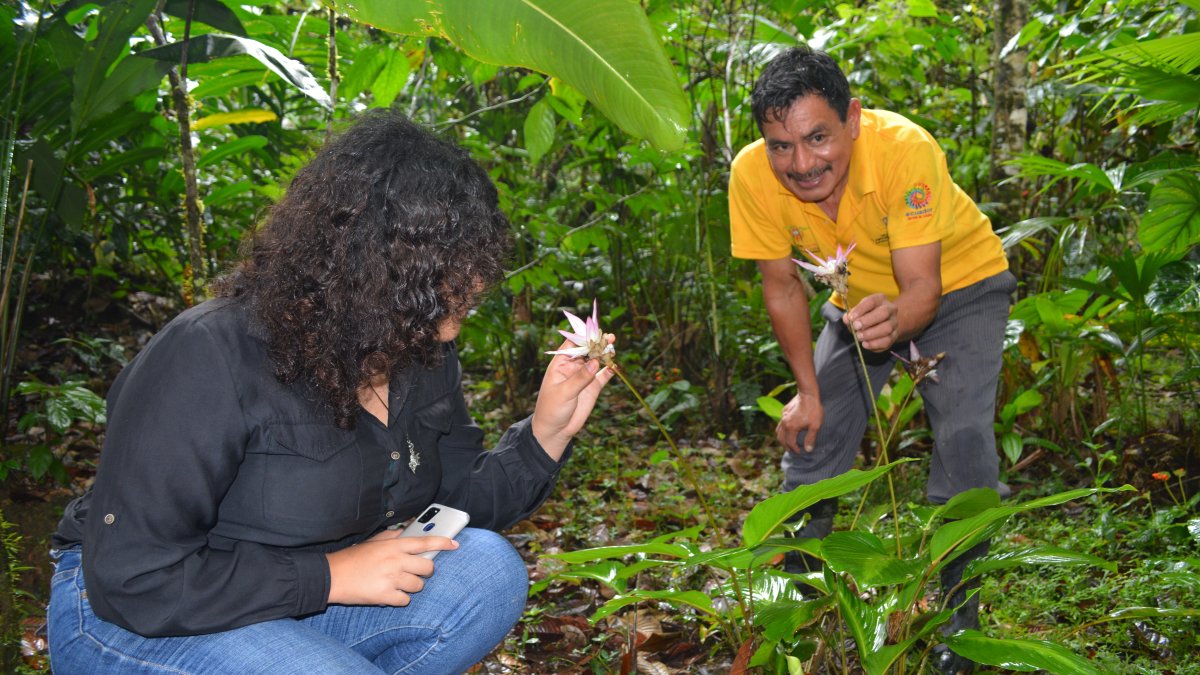 NAPO. La finca de Ramon Pucha (der) se ha convertido en una lugar para el aprendizaje.