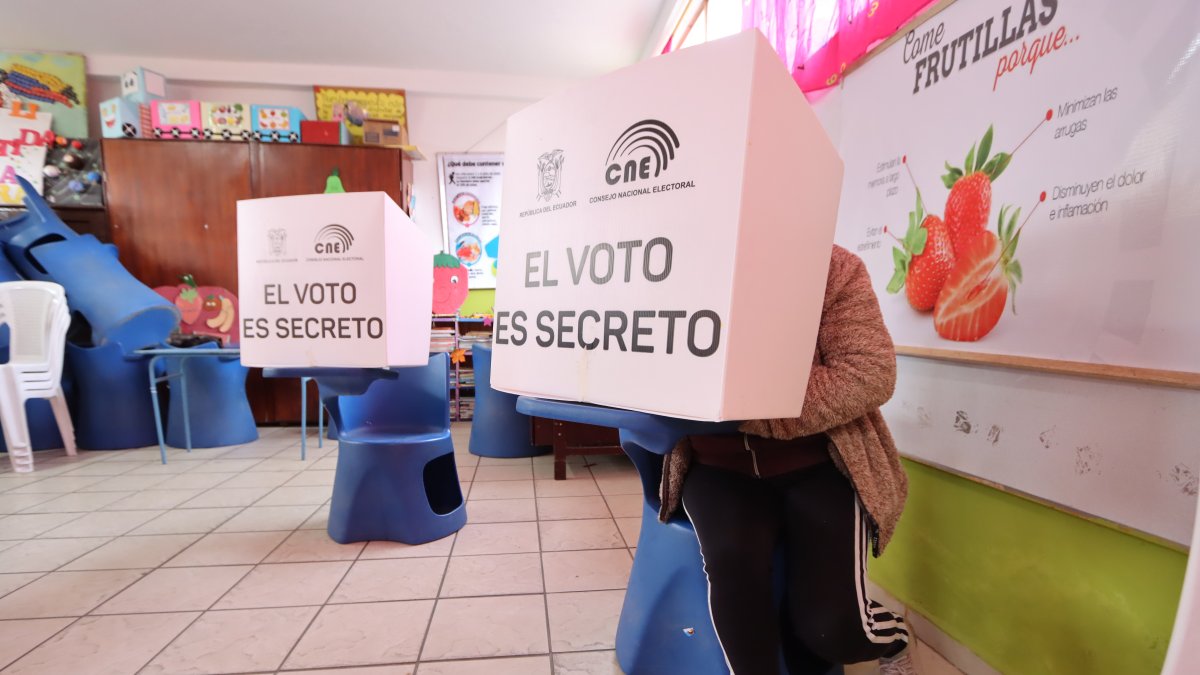 El CNE habilitó la consulta de los planes de trabajo de los candidatos.