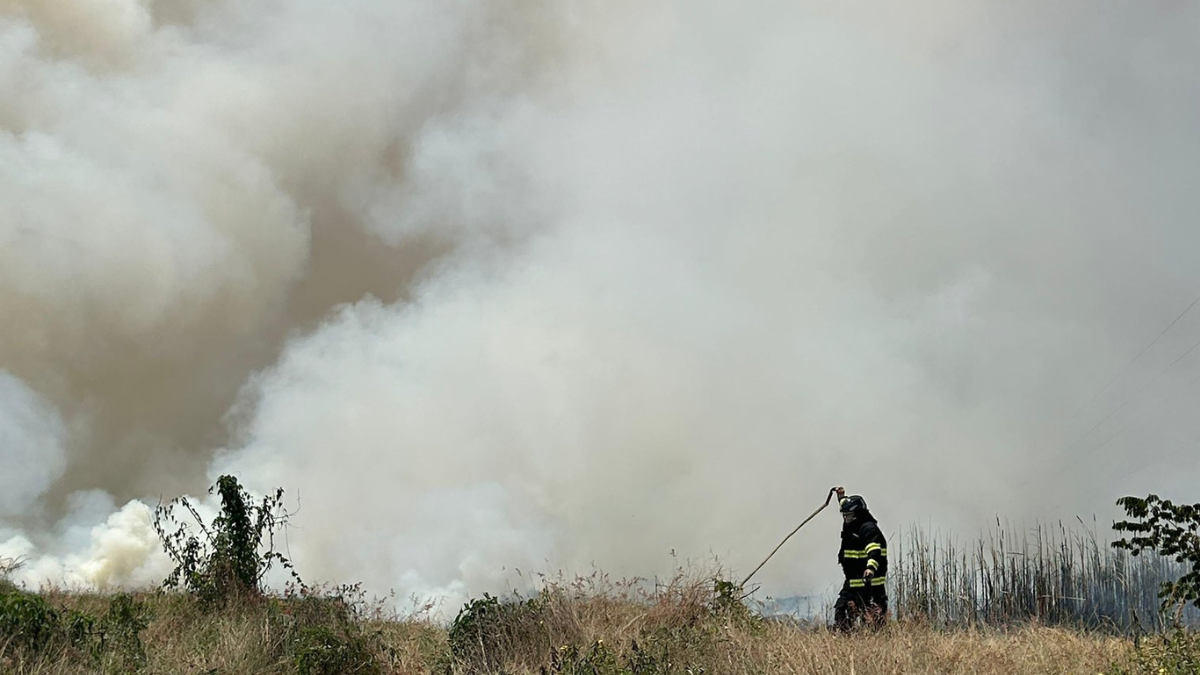 Incendio forestal en el Km 13.5 de la Av Miguel Yúnez Zagia