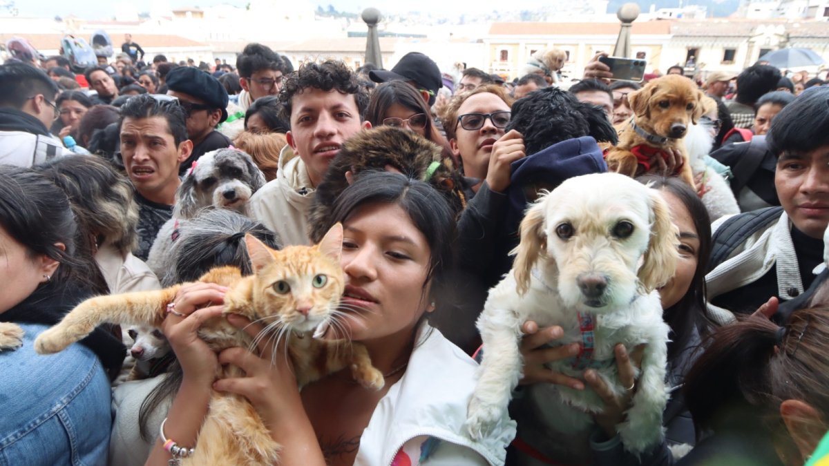 Estaba previsto que al menos 300 personas lleguen a la iglesia de San Francisco para solicitar la bendición de sus mascotas en Quito.
