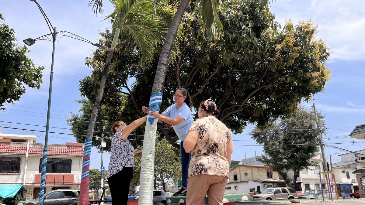 Unión.  Moradores de Sauces 1, junto con la líder barrial, visten los árboles y postes con cintas de la bandera de Guayaquil. Esta actividad la hacen el primer fin de semana de octubre.